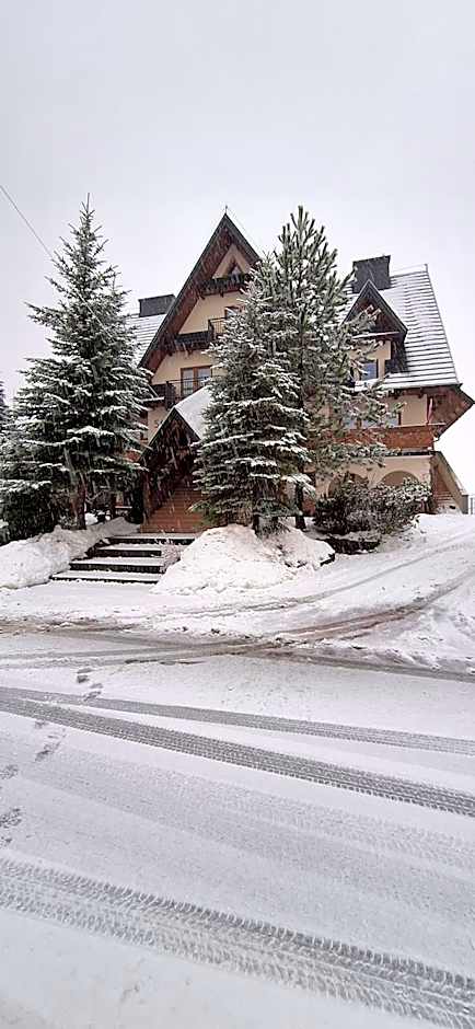 Willa u Kośle Zakopane sauna i bilard