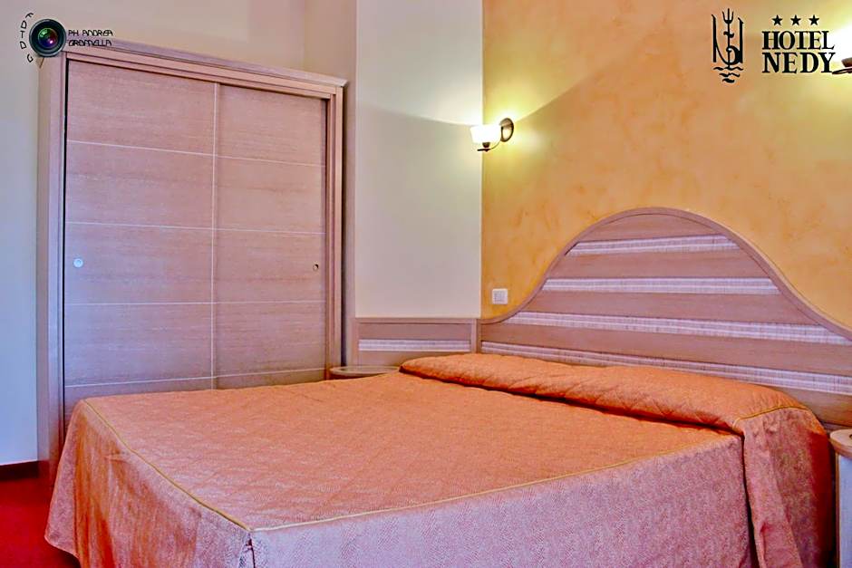 Hotel Nedy