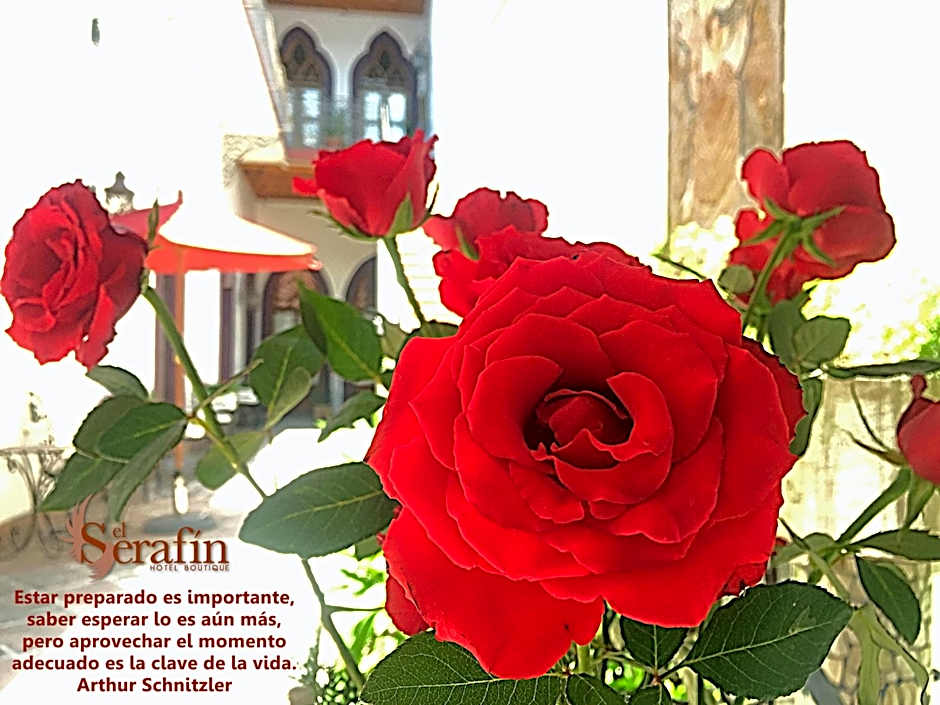 El Serafin Hotel Boutique