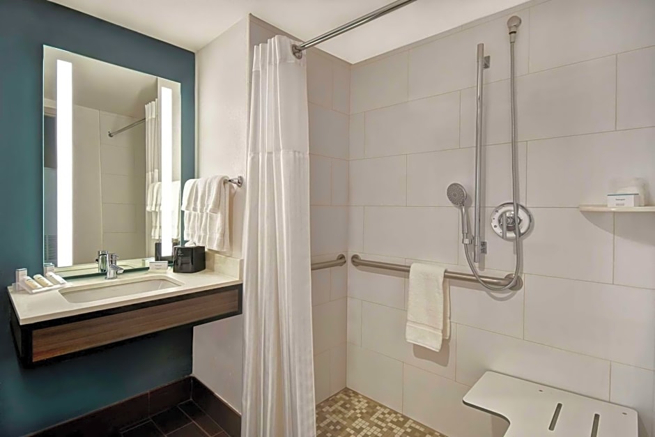 Hilton Garden Inn Houston/Galleria Area