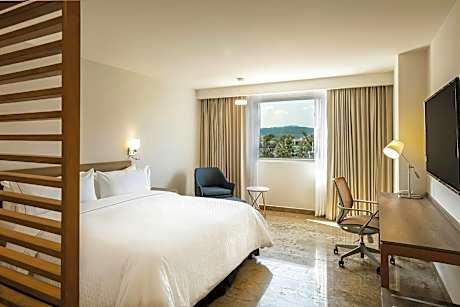 Superior Room, 1 King