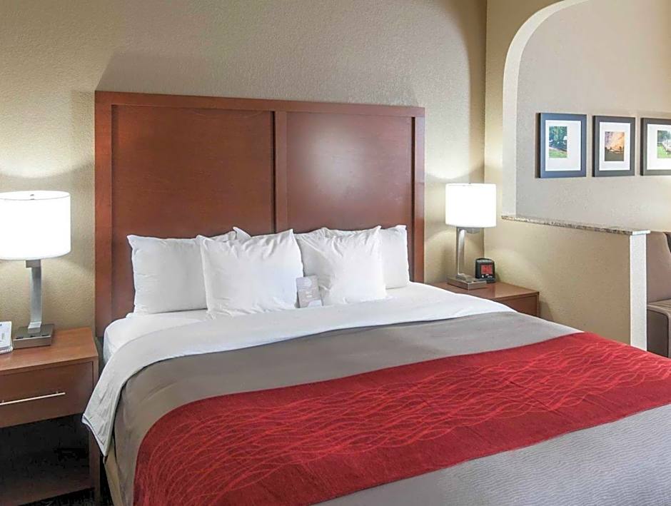 Comfort Inn & Suites LaGrange East