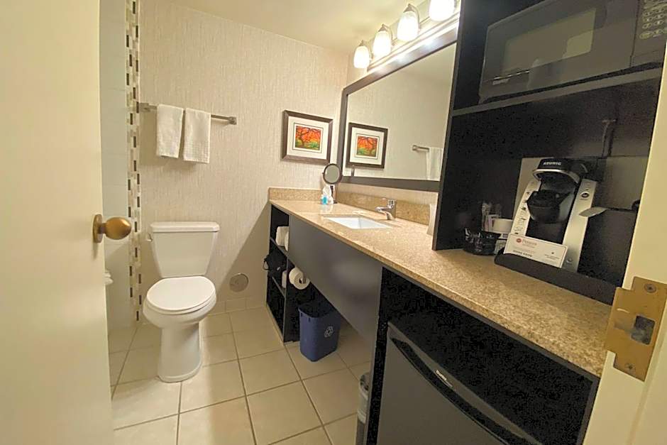 Wyndham Minneapolis South/Burnsville