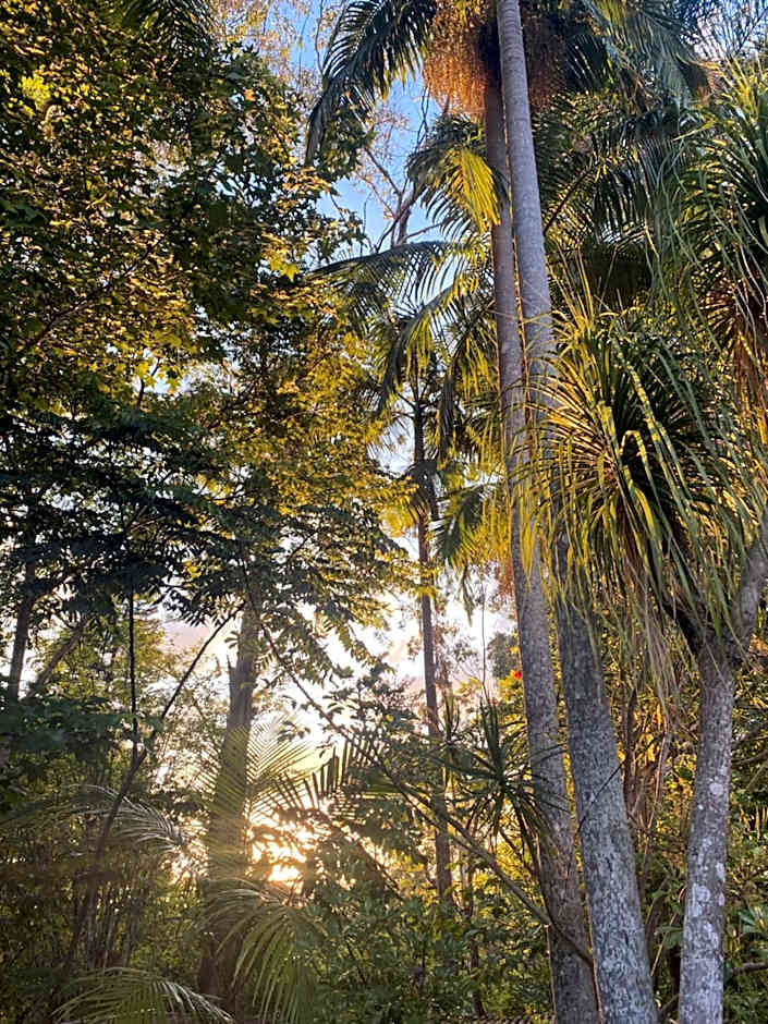 Nimbin waterfall retreat