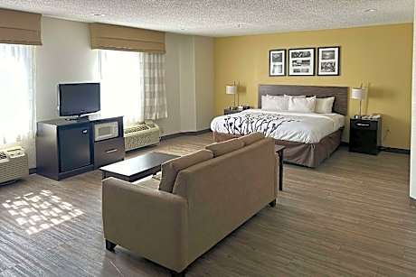 1 King Bed, Suite, Nonsmoking