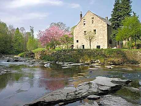 Dilston Mill