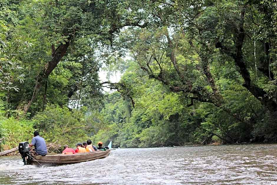 Dtahan Motel Taman Negara