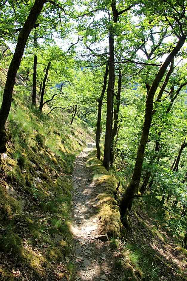Hotel Fürstenhof Bad Bertrich
