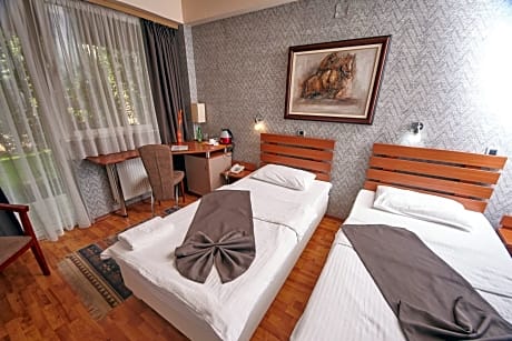 Economy Twin Room