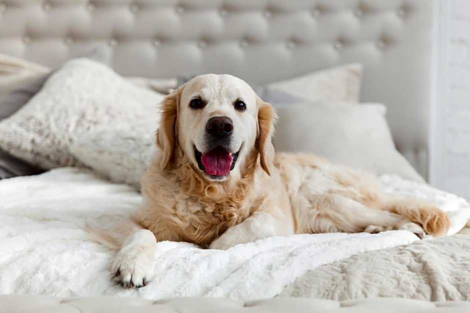 Holiday Inn - the niu, Dairy Haarlem By IHG