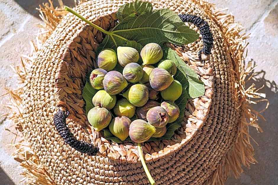 Rooster Guesthouse Rooms