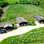 New Forest Lodges