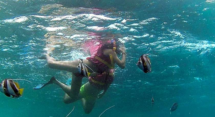 Arora Inn at Maafushi Island Maldives