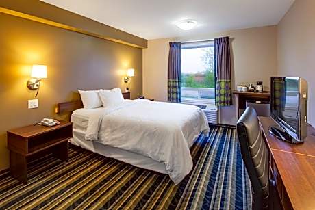 One-Bedroom Queen Suite - Non-Smoking