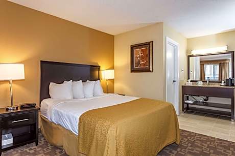 1 Queen Bed Nonsmoking Accessible