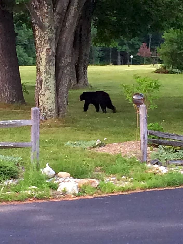 Aerie Inn of Vermont