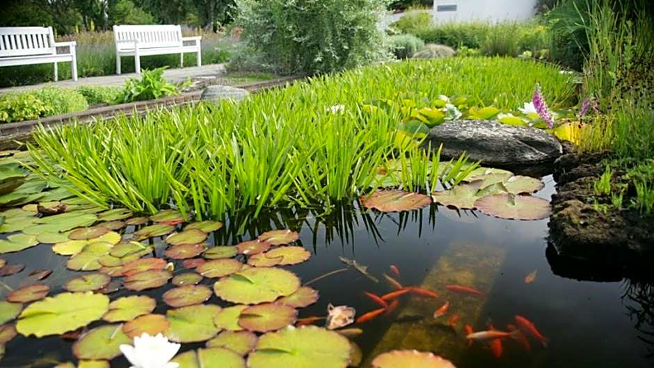 Danhostel Vitskøl Kloster