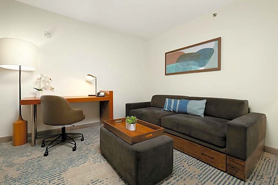 SpringHill Suites by Marriott McAllen Convention Center