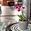 Karma Boutique Apartments
