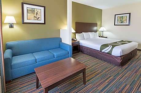1 King Bed, Suite, Nonsmoking