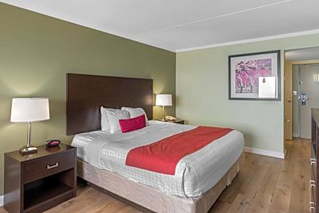 King Room - Disability Access/Non-Smoking