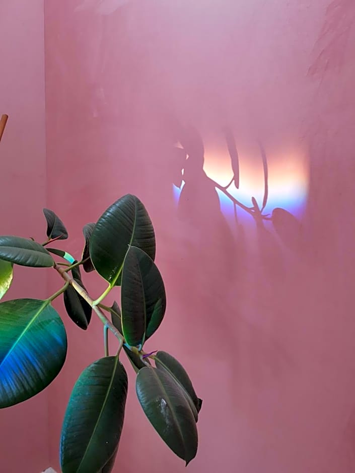 JARDIN D'HIVER CASSEL Suite de 70 m2