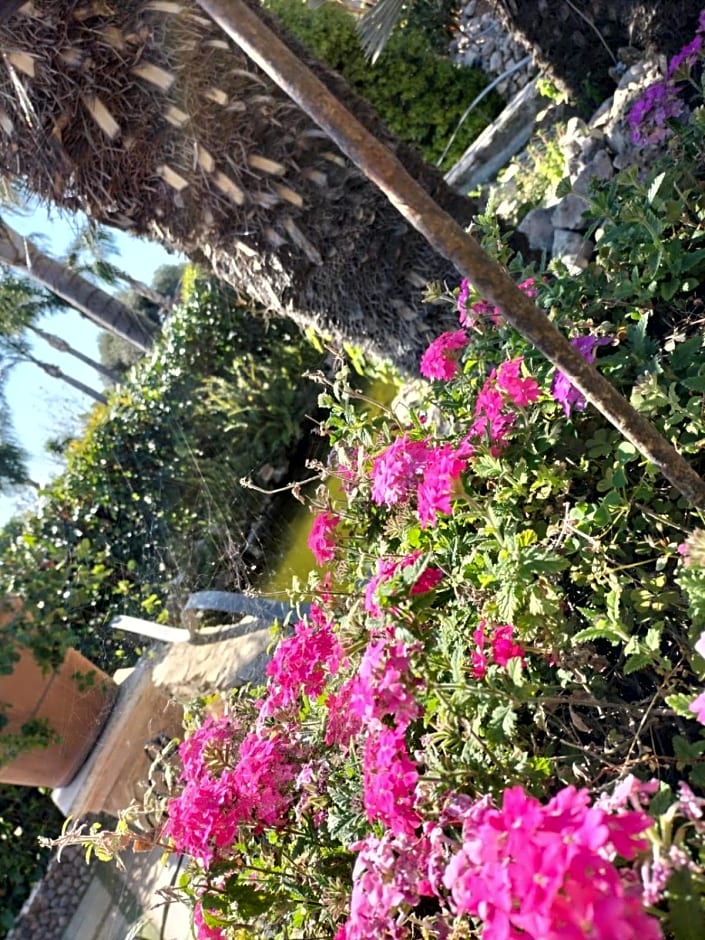 Tettoeletto Garden Bio