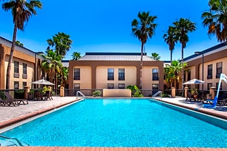 Orlando Palms