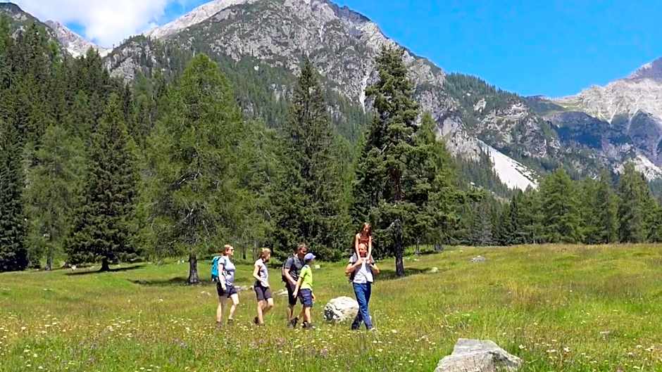 Das kleine Berghotel