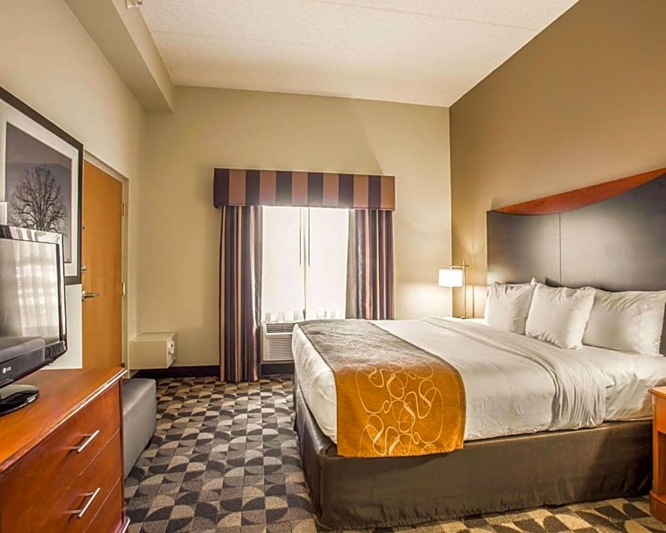 Comfort Suites Columbia at Harbison