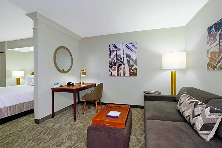 SpringHill Suites by Marriott Chesapeake Greenbrier