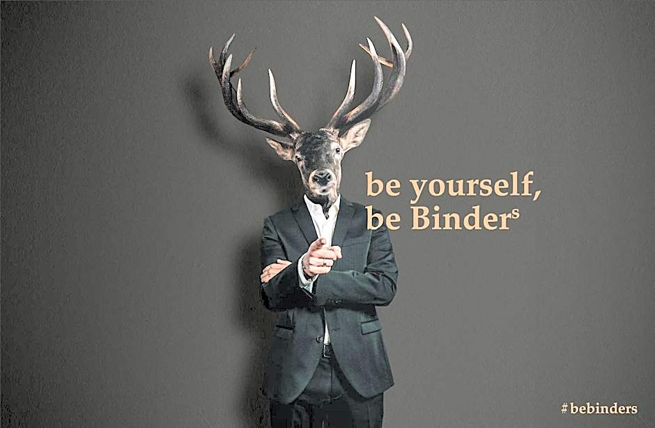 BinderS Budget City-Mountain Hotel