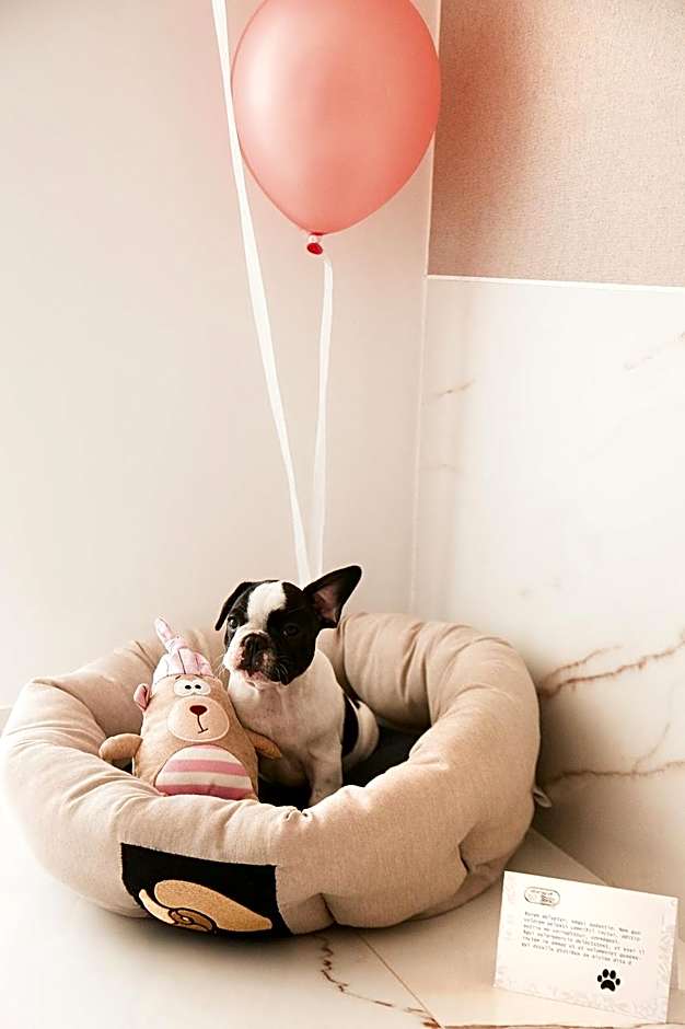 Hôtel Marinca & Spa