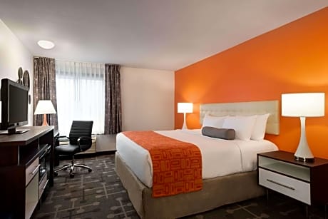 1 King Bed Non-Smoking