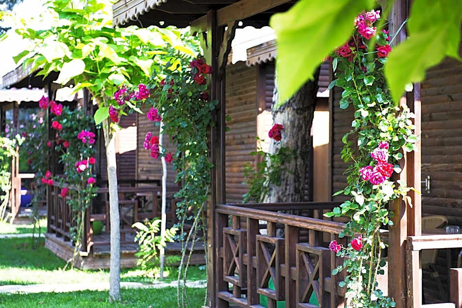 Flora Garden Beach Hotel - Adults Only 16 Plus - Couples Concept