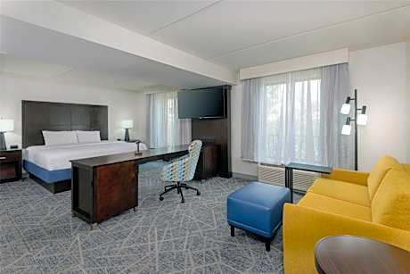 1 King Studio Suite Nonsmoking