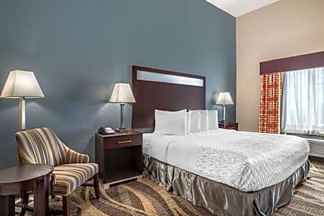 King Room - Pet-Friendly/Non-Smoking