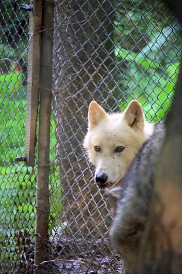 Polonezköy Country Club