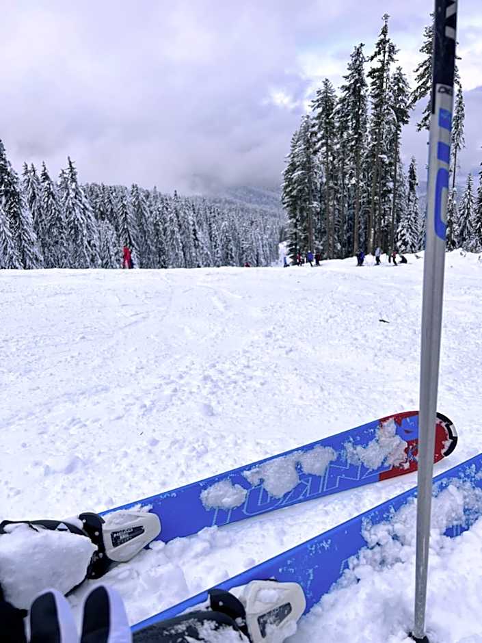 Dimitri Apartament Emerald , near Gondola