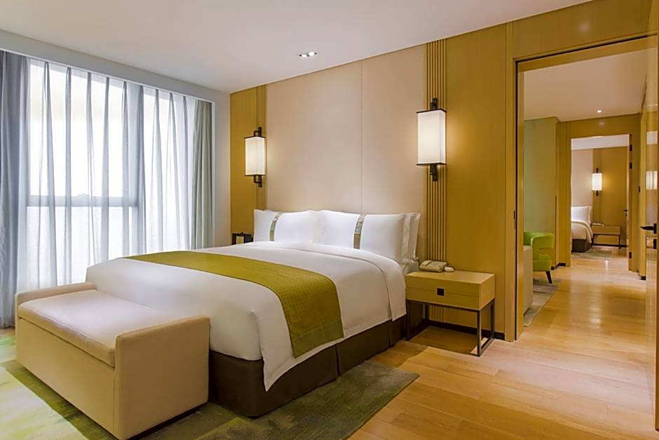 Holiday Inn & Suites Nanjing Qinhuai South By IHG