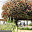 Masseria del Carboj