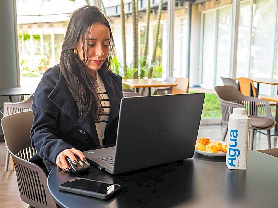 Ibis Santo Andre