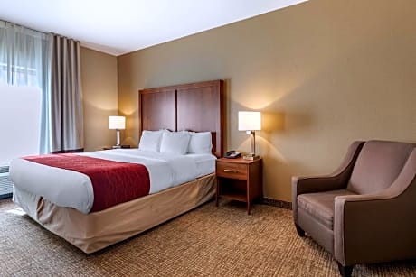 1 King Bed No Smoking Accessible Room