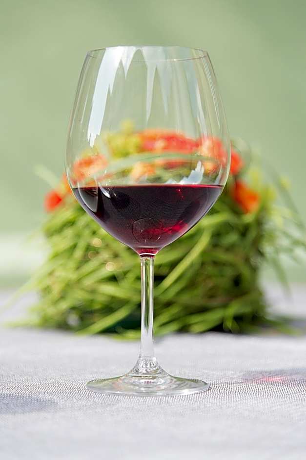 Altstadthotel PIAZZA