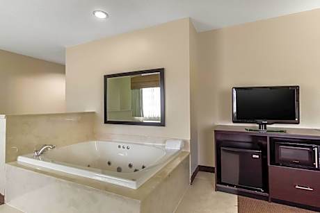 1 King Bed, Suite, Nonsmoking