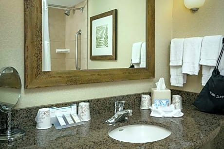 2 Queen Hearing Accessible Room