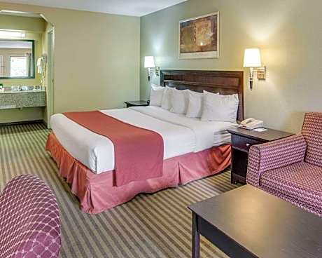 1 King Bed, Nonsmoking, Accessible