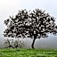 Herdade do Burrazeiro Turismo Rural no Alentejo