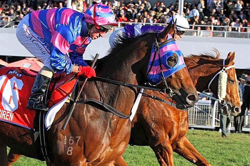 Quest Ascot Serviced Apartment