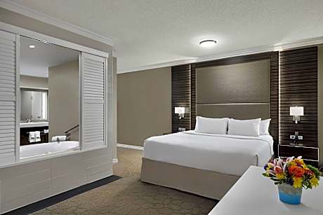 Room, 1 King Bed